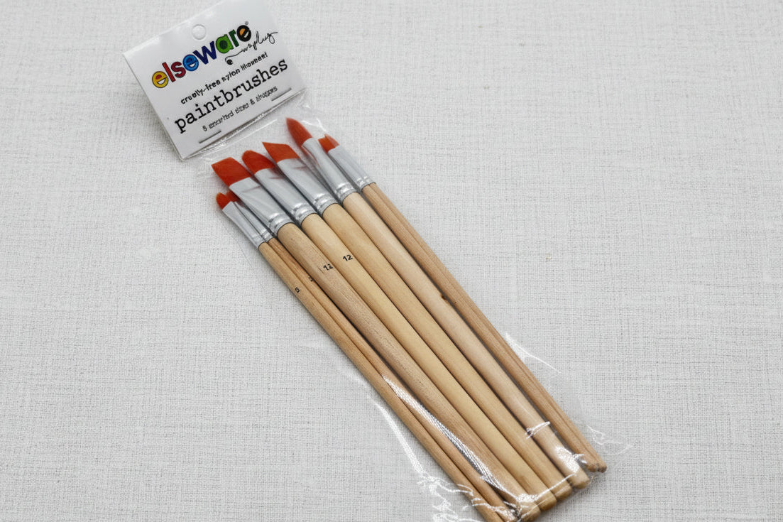 Set of paintbrushes in a clear plastic package