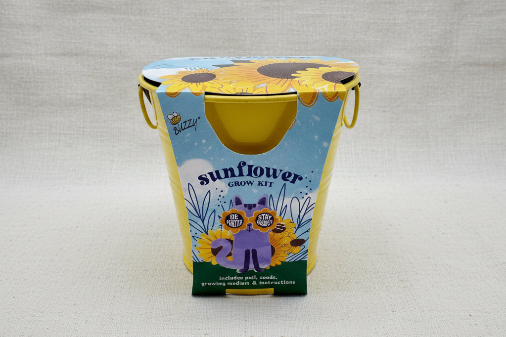 Sunflower grow kit in pail