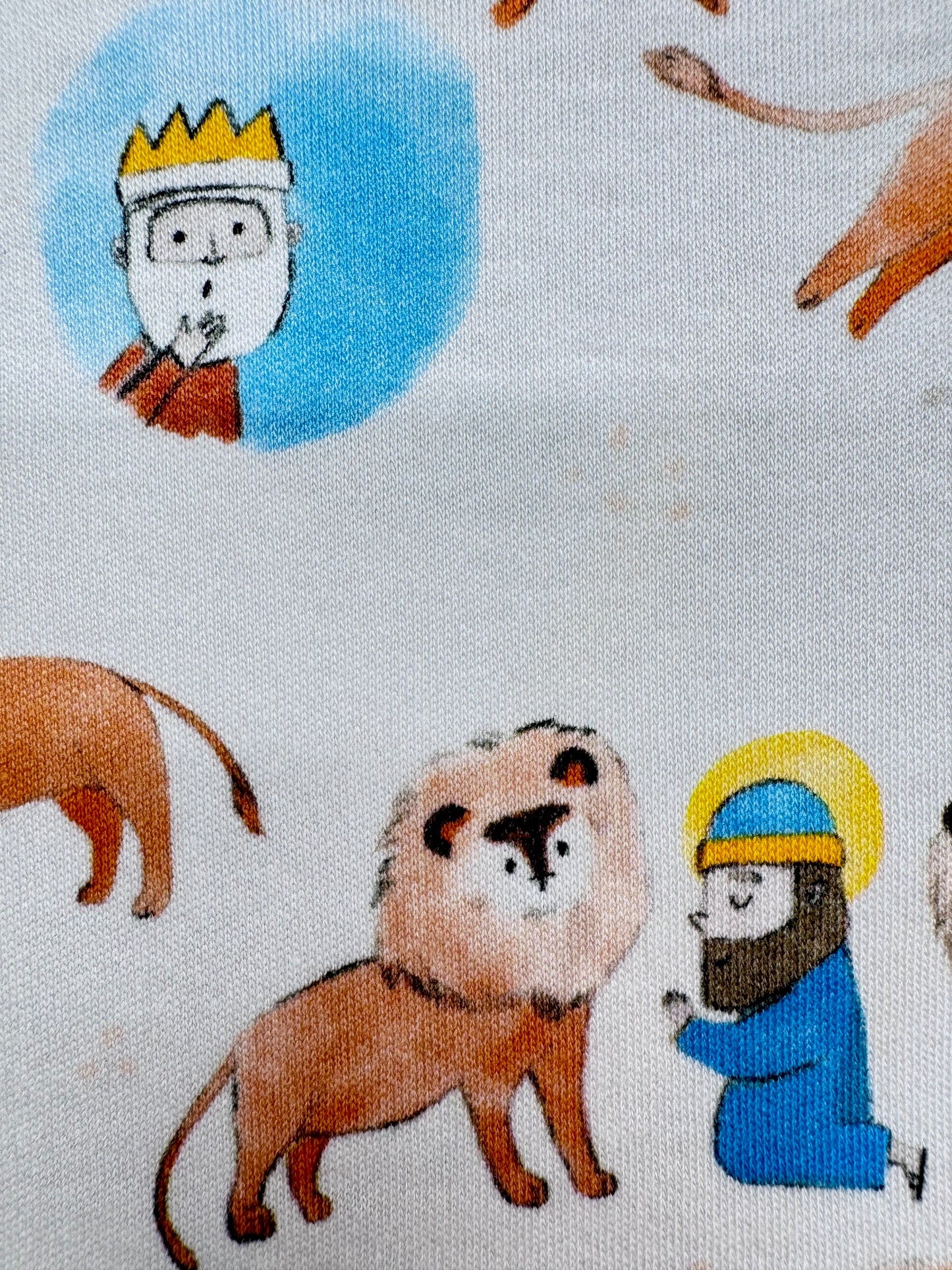 Hungry Lions and Daniel Gift Box