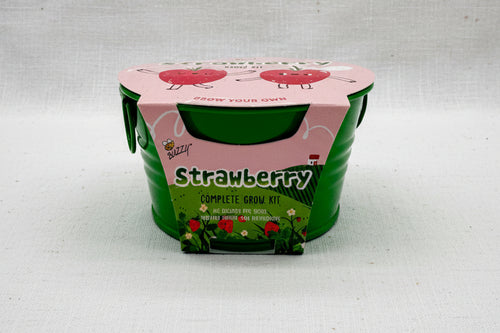Load image 1 in gallery view. Strawberry growing kit in metal pail 